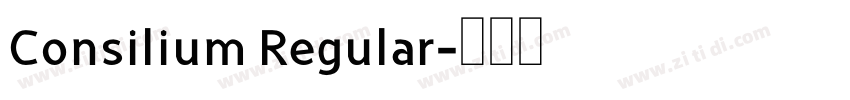 Consilium Regular字体转换